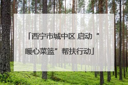 西宁市城中区 启动“暖心菜篮”帮扶行动